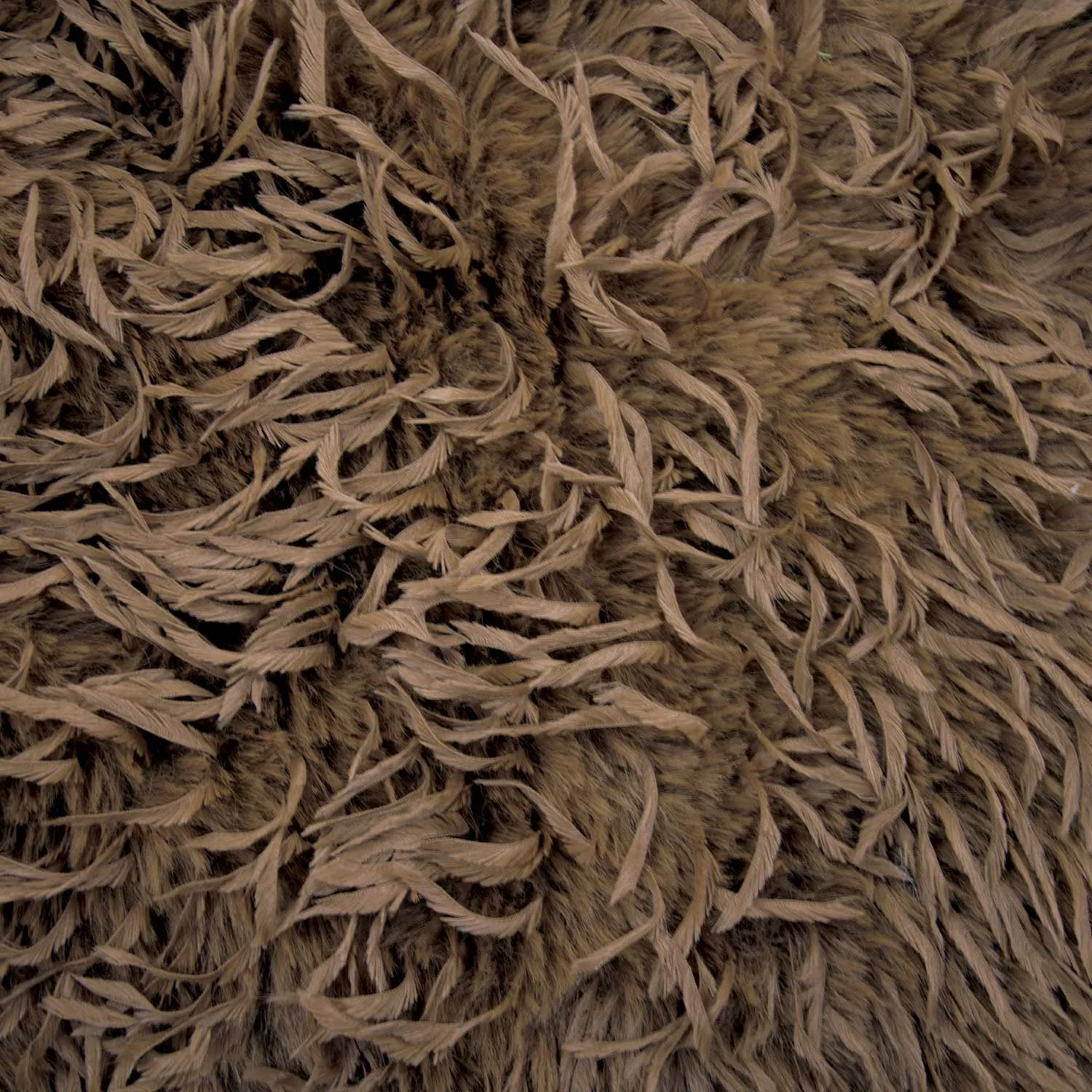 Verenpels camel